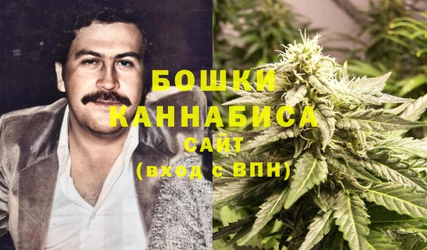 ешки Белокуриха