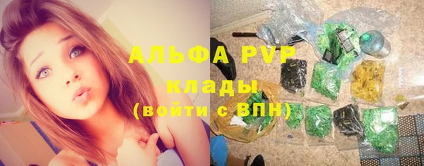 ешки Белокуриха