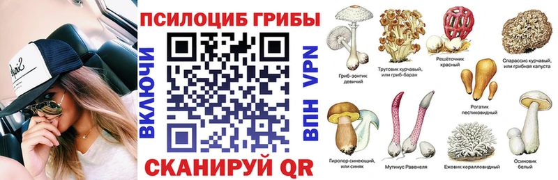 Галлюциногенные грибы Psilocybe  Купить где  Салехард 